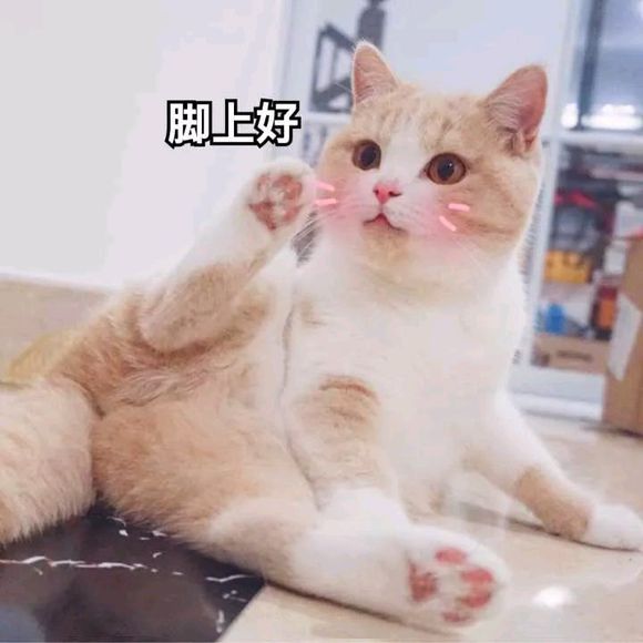 可爱调皮喵星人表情包