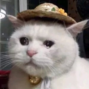 可爱调皮喵星人表情包