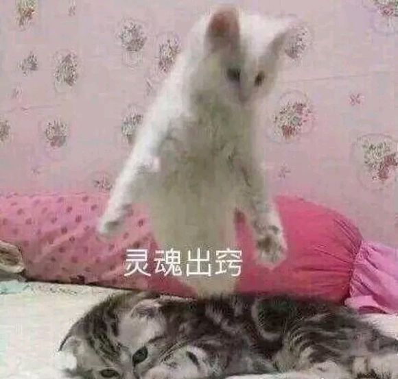 可爱调皮喵星人表情包