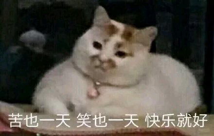 可爱调皮喵星人表情包