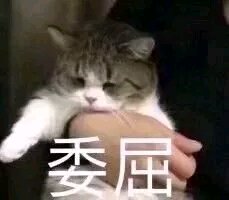 可爱调皮喵星人表情包