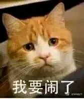 可爱调皮喵星人表情包