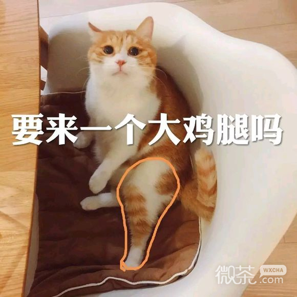 可爱调皮喵星人表情包