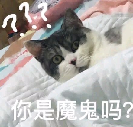 可爱调皮喵星人表情包