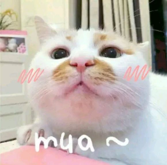 可爱调皮喵星人表情包