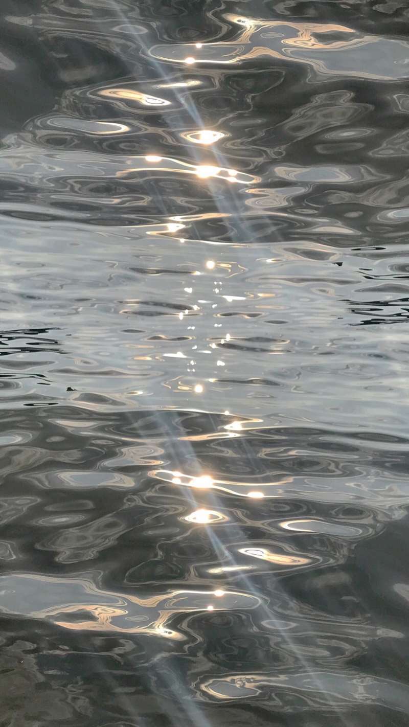 风景静物简约手机壁纸