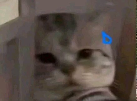 可爱调皮喵星人表情包