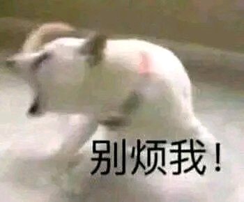 微信近期斗图恶搞表情包2019/5/28（二）