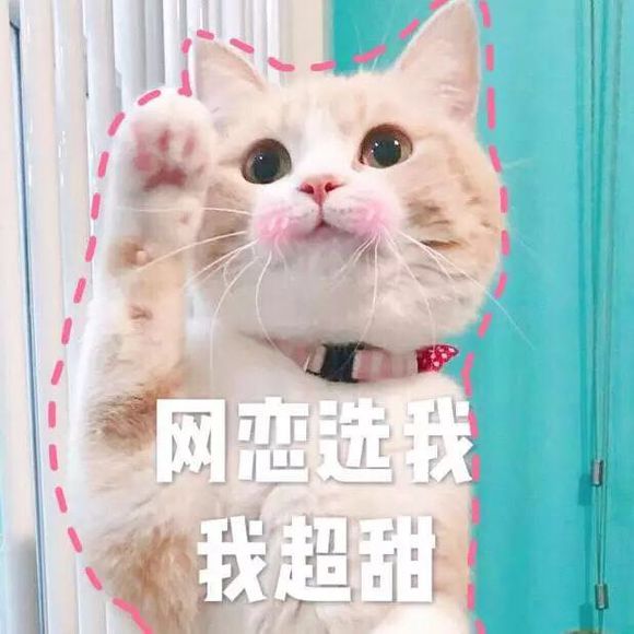 别得意你也是微信恶搞傻屌群聊斗图表情包