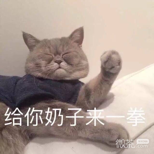 呵呵微信恶搞傻屌群聊杂图斗图表情包