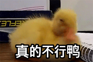 微信近期斗图恶搞表情包2019/5/29