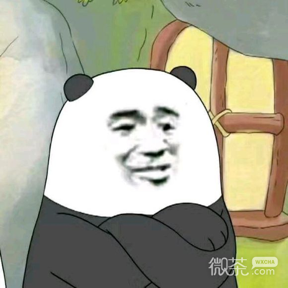 别得意你也是微信恶搞傻屌群聊斗图表情包