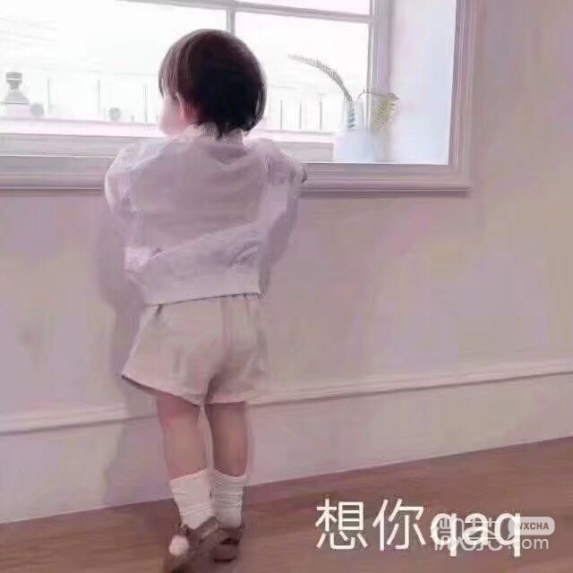 呵呵微信恶搞傻屌群聊杂图斗图表情包