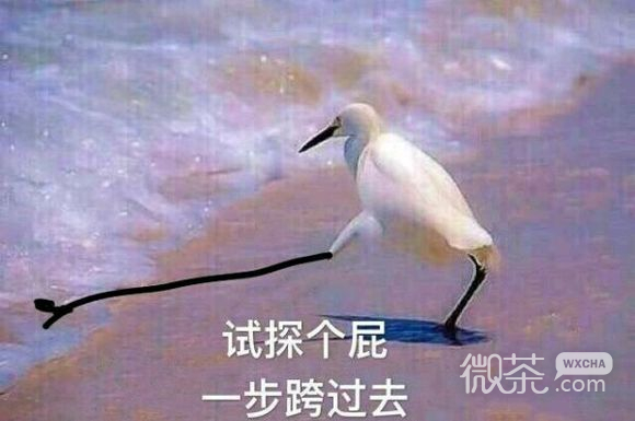 别得意你也是微信恶搞傻屌群聊斗图表情包