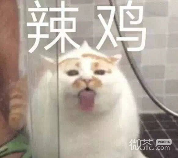 呵呵微信恶搞傻屌群聊杂图斗图表情包