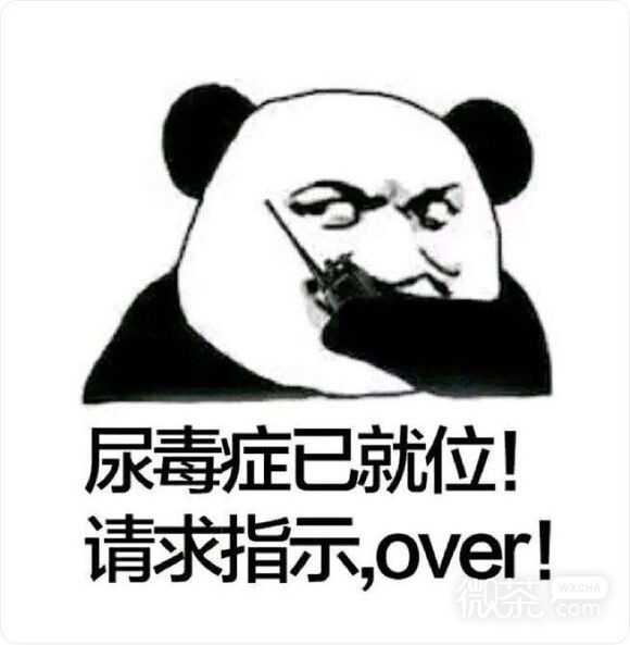 微信近期斗图恶搞表情包2019/5/29（二）
