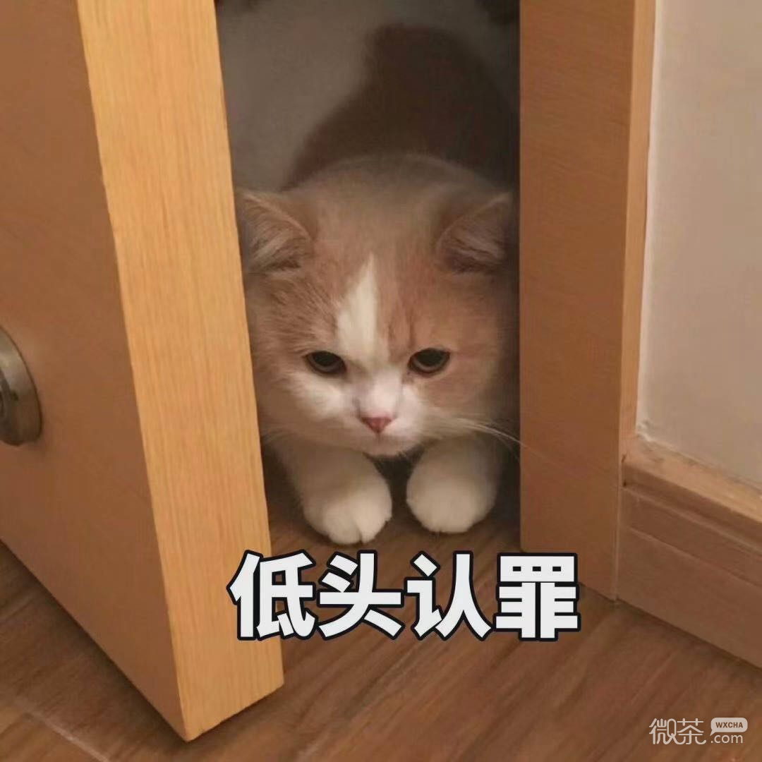 呵呵微信恶搞傻屌群聊杂图斗图表情包