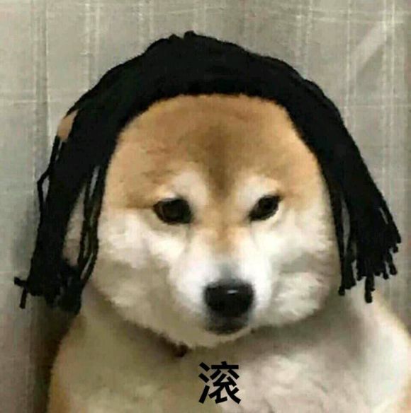 别得意你也是微信恶搞傻屌群聊斗图表情包