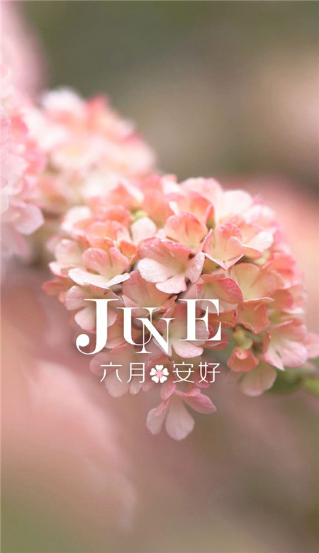 2019微信最新唯美小清新风格六月你好聊天背景图片下载