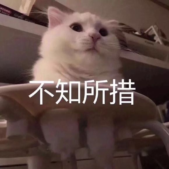 别得意你也是微信恶搞傻屌群聊斗图表情包