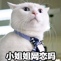 别得意你也是微信恶搞傻屌群聊斗图表情包