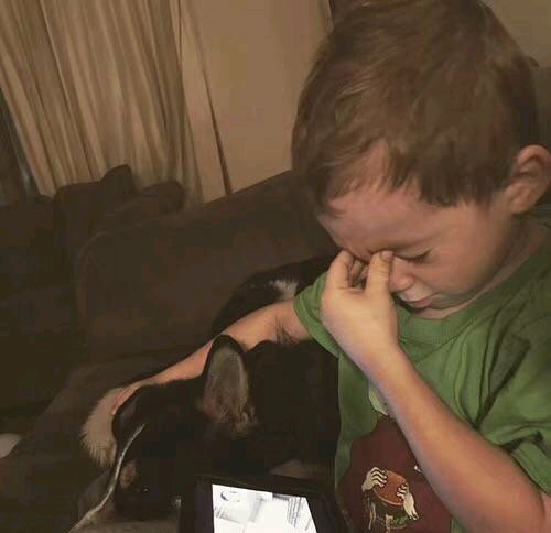 别得意你也是微信恶搞傻屌群聊斗图表情包