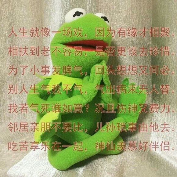 别得意你也是微信恶搞傻屌群聊斗图表情包