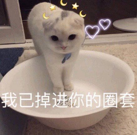 呵呵微信恶搞傻屌群聊杂图斗图表情包