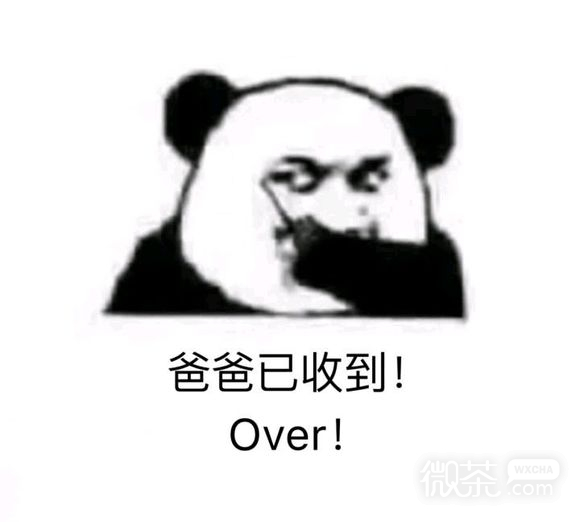 别得意你也是微信恶搞傻屌群聊斗图表情包