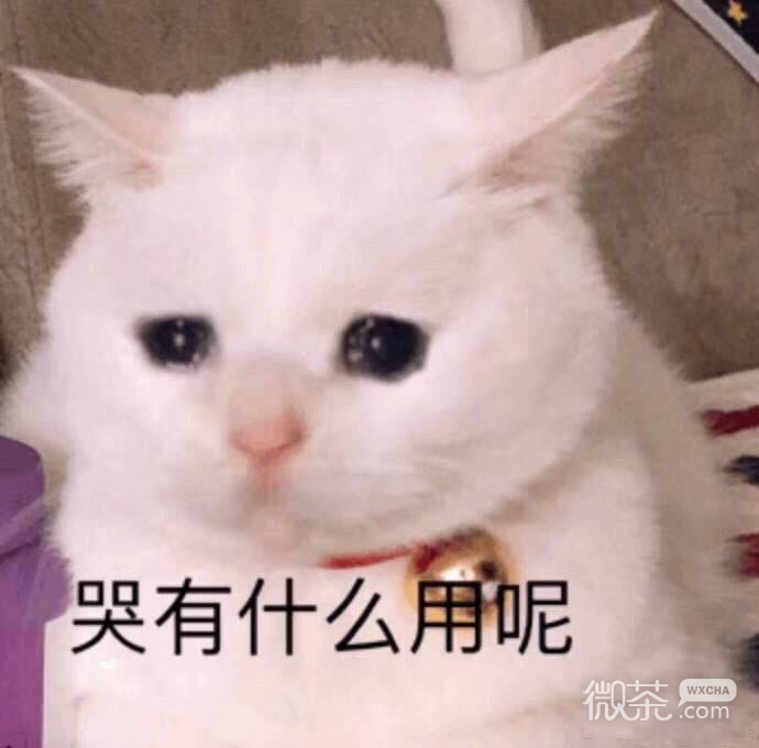 呵呵微信恶搞傻屌群聊杂图斗图表情包
