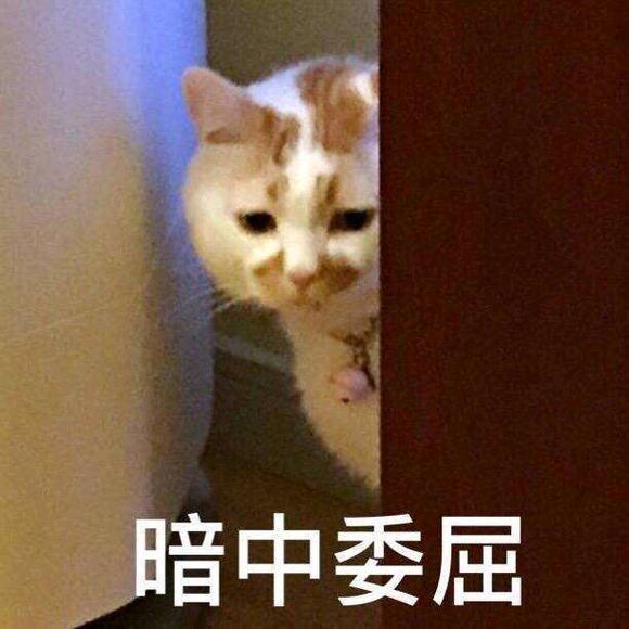 微信近期斗图恶搞表情包2019/5/30