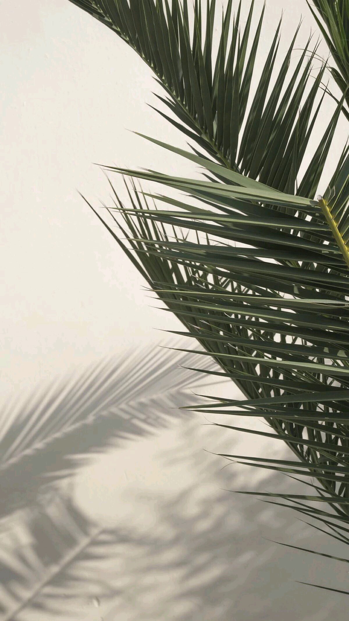 简洁好看潮流霸气手机壁纸