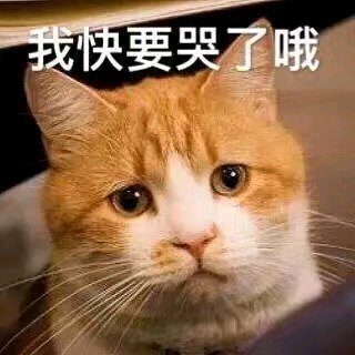 看透微信恶搞傻屌群聊表情包