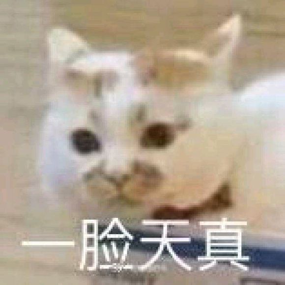 微信近期斗图恶搞表情包2019/5/30