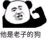 要讲文明微信恶搞傻屌群聊杂图斗图表情包