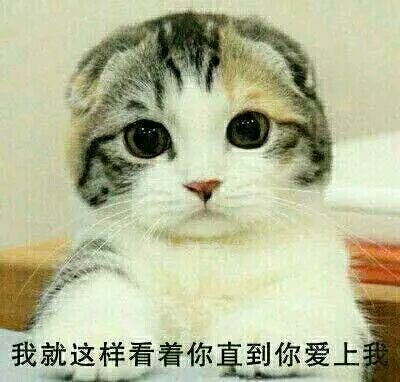 大坏蛋微信恶搞群聊杂图斗图表情包