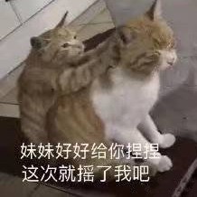 微信近期斗图恶搞表情包2019/5/30