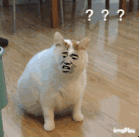 微信近期斗图恶搞表情包2019/5/30