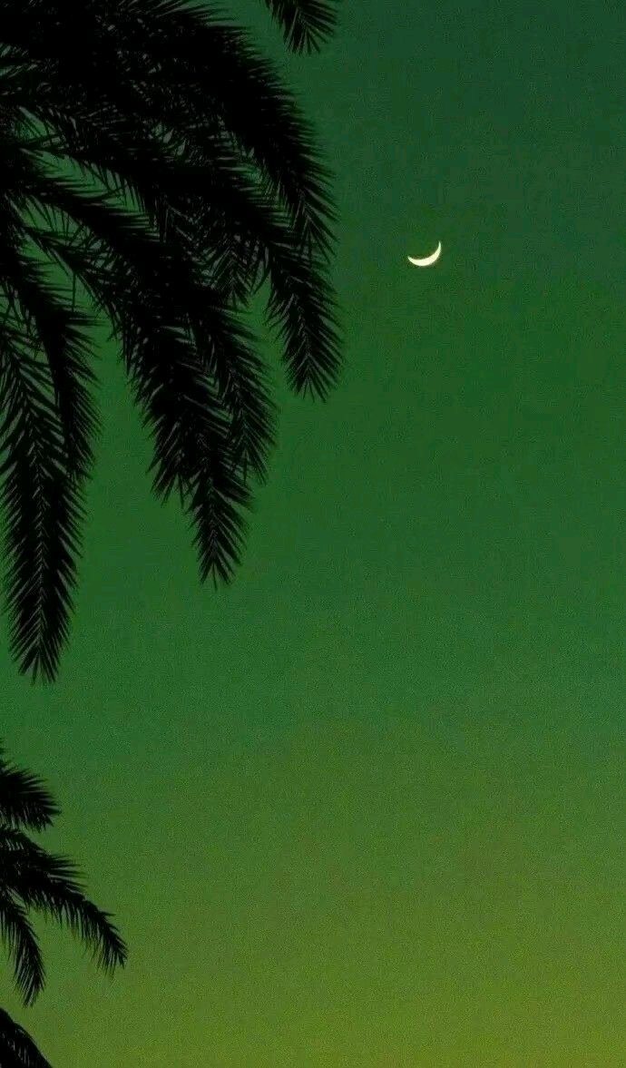 简洁好看潮流霸气手机壁纸