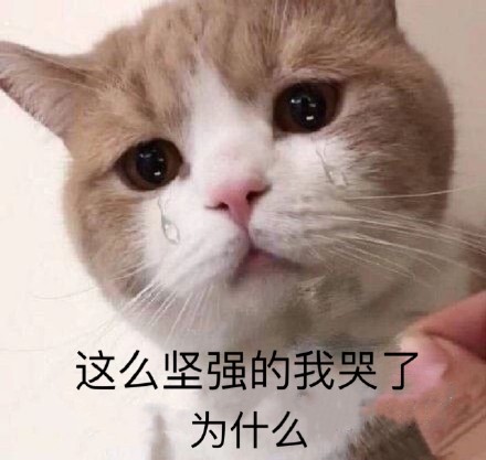 微信近期斗图恶搞表情包2019/5/30