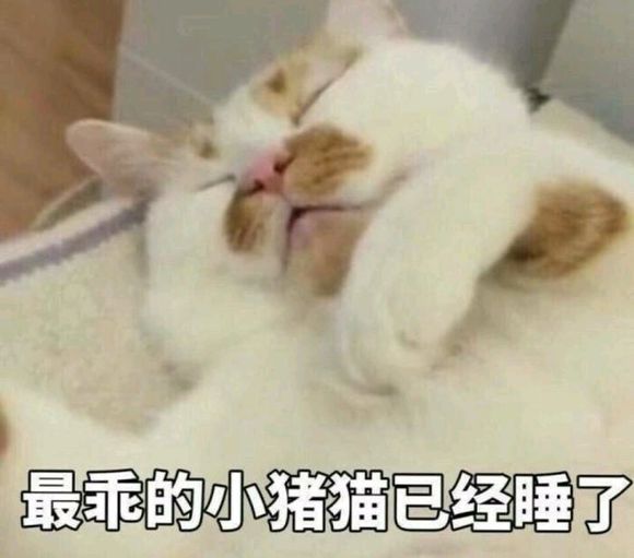 微信近期斗图恶搞表情包2019/5/30