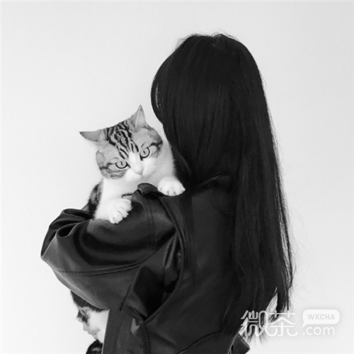 微信阳光时尚可爱女头