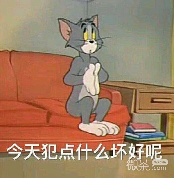 看透微信恶搞傻屌群聊表情包