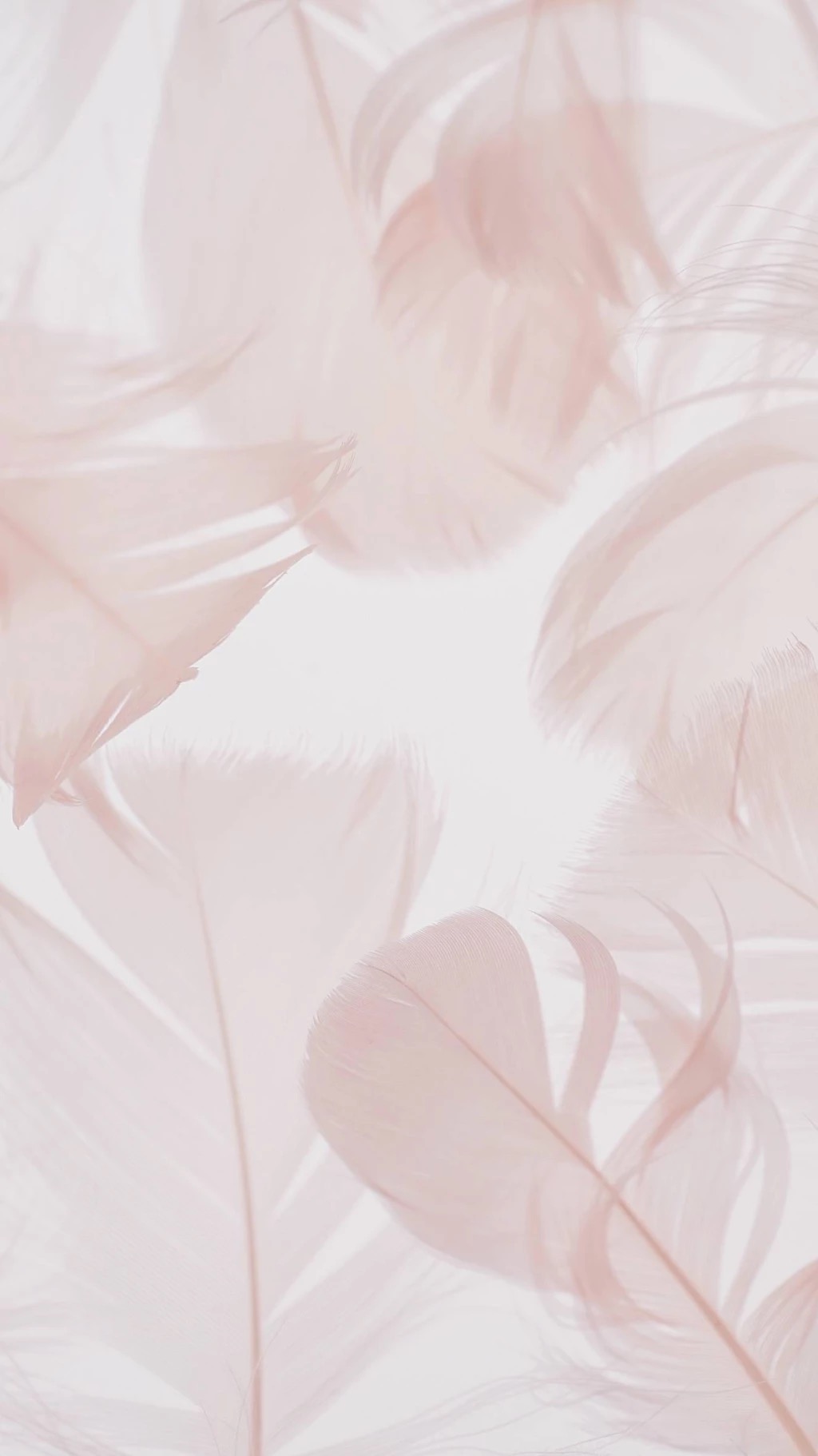 唯美海洋手机壁纸