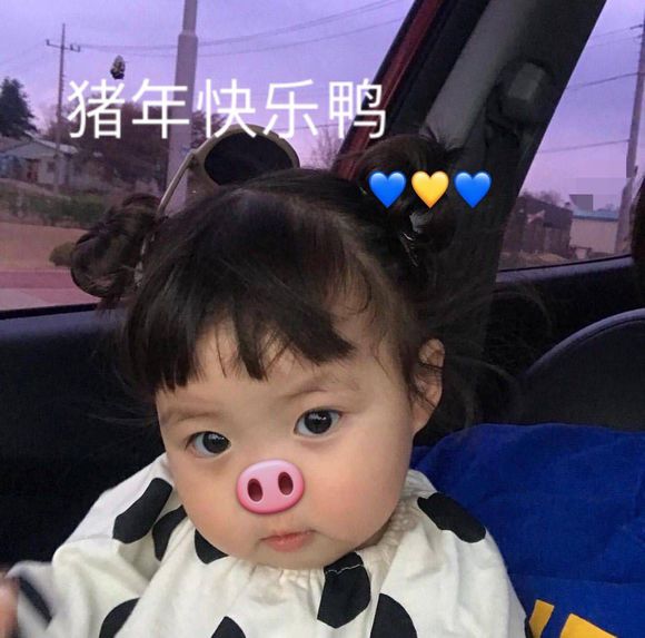 微信可爱罗熙斗图表情包