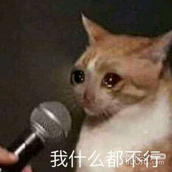 微信近期斗图恶搞表情2019/5/31