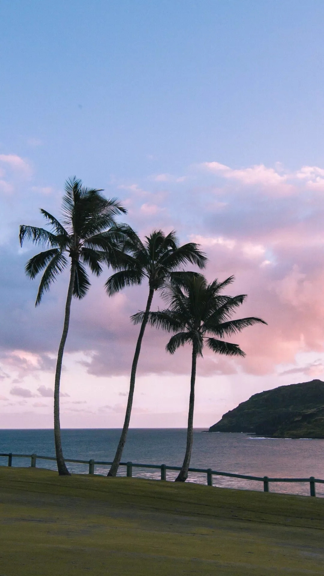 意境风景静物手机壁纸