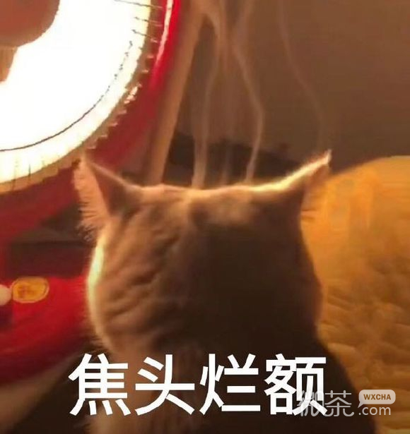 微信近期斗图恶搞表情2019/5/31