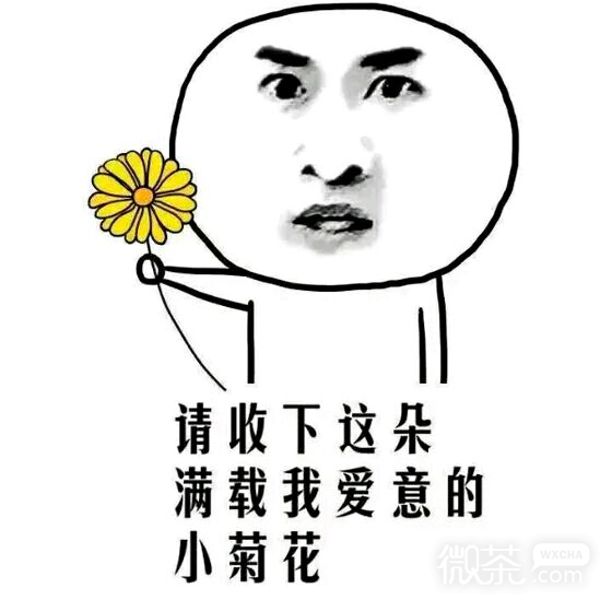 微信近期斗图恶搞表情包2019/5/31（二）