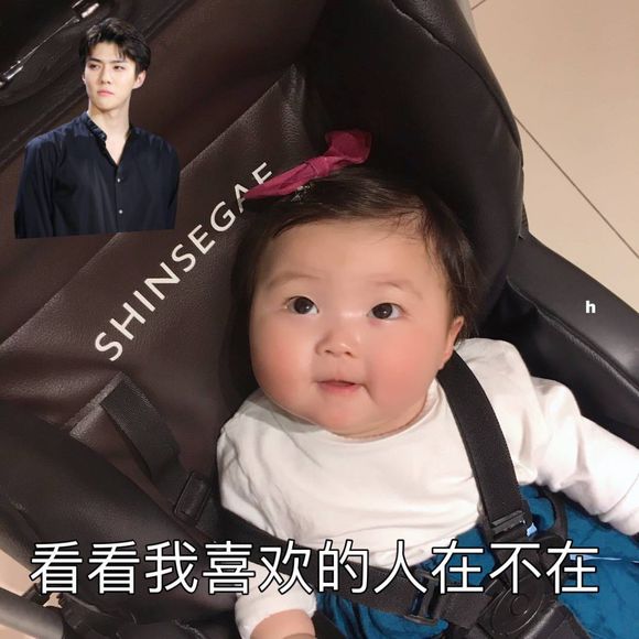 微信可爱罗熙斗图表情包